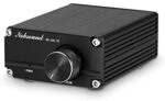 Nobsound 100W Full Frequency Mono Channel Digital Power Amplifier Audio Mini Amp (Black)