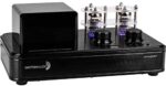 Dayton Audio HTA20BT Hybrid Stereo Tube Amplifier with Bluetooth 4.2 USB Aux in Headphone Sub Out